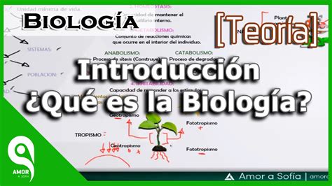 Biología   Introducción ¿Qué es la Biología?   YouTube