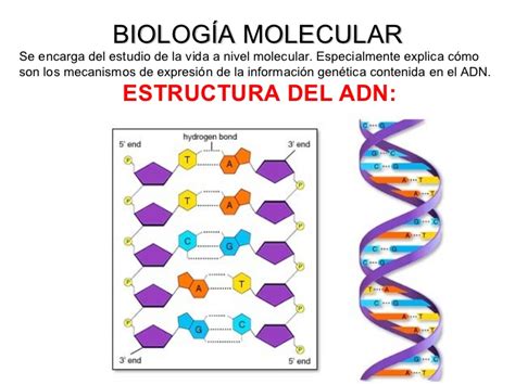 Biología molecular ing. genética biotecnología reprod asistida