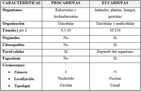 Biología y Geología 3ºESO: Células Procariotas vs Eucariotas