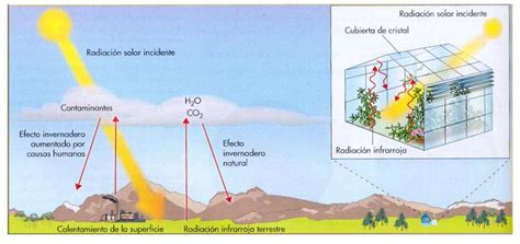 BiologíaSur   La contaminación atmosférica