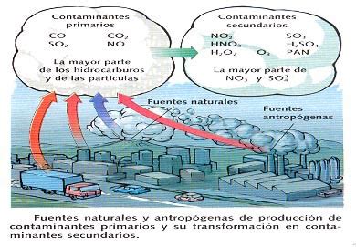 BiologíaSur La contaminación atmosférica