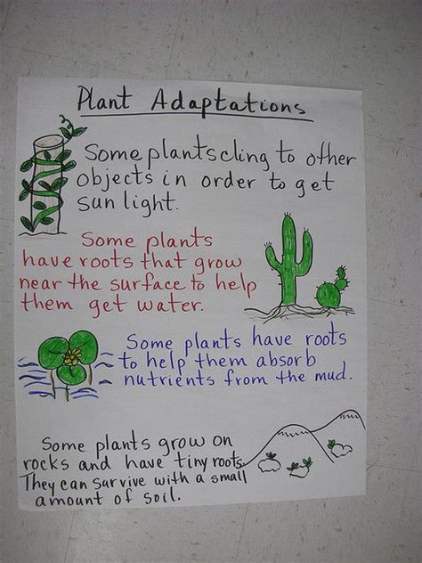 Biological Sciences   Plant Adaptations, lots of pictures ...