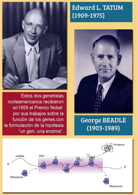 Biology to: Principales Biólogos y Geólogos de la historia