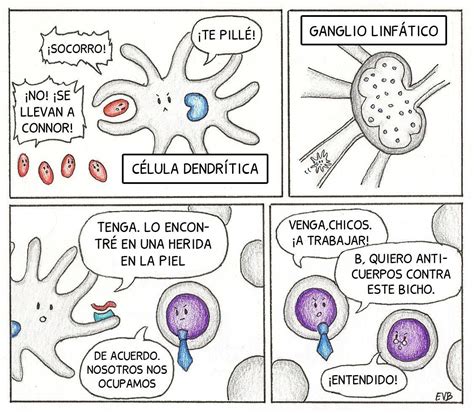 Biomed. en Viñetas  @BiomedVinetas  | Twitter