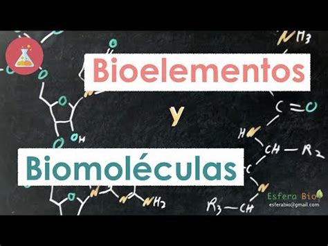 Biomoléculas | Doovi