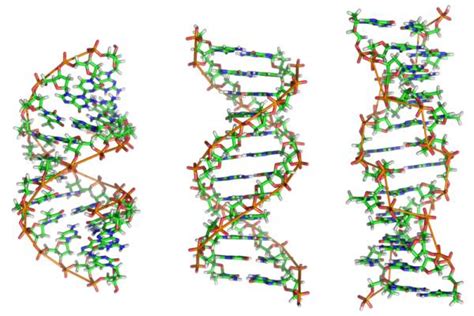 Biomoléculas   Escuelapedia   Recursos Educativos