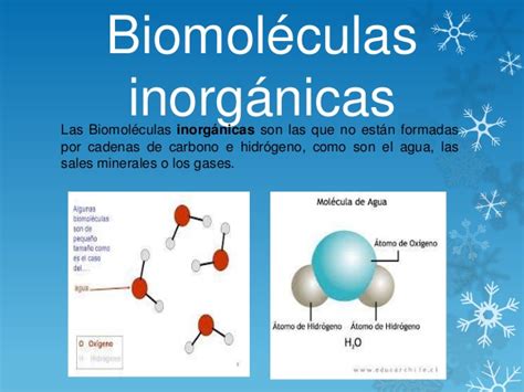Biomoleculas inorganicas