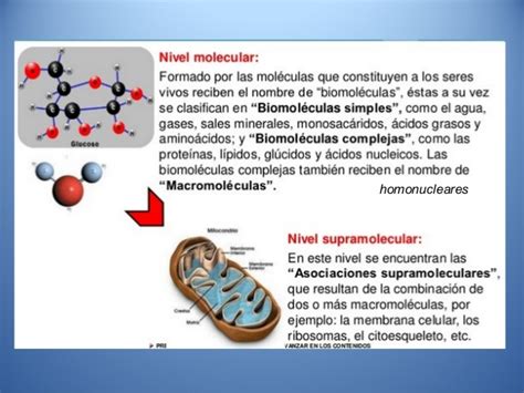 Biomoleculas, macromoleculas, organizacion supramolecular