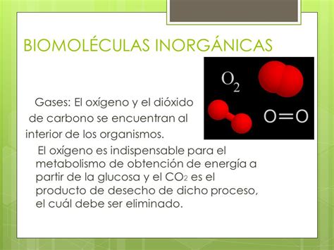Biomoléculas orgánicas e inorgánicas ppt descargar