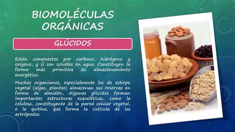 Biomoléculas Orgánicas E Inorgánicas.   YouTube