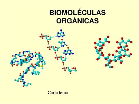 Biomoléculas organicas
