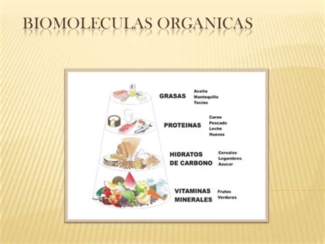 Biomoleculas organicas
