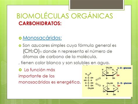 Biomoleculas: Orgánicas   ppt descargar