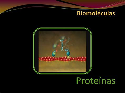 Biomoléculas Proteínas.   ppt descargar