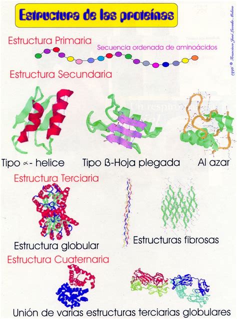 Biomoleculas: TIPOS DE BIOMOLECULAS