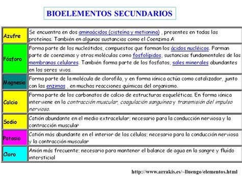 BIOQUÍMICA BÁSICA CARACTERES Y COMPONENTES DE LA MATERIA ...