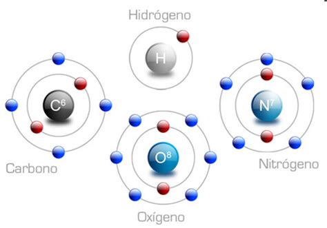 BIOQUÍMICA: Unidad I: Compuestos biológicos: Bioelementos ...