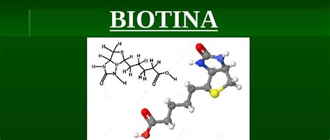 Biotina Vitamina Benefícios e Onde Encontrar