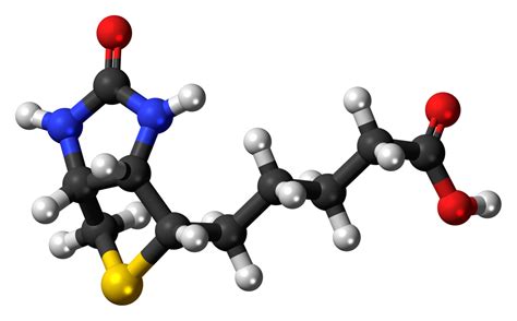 Biotina Vitamina H