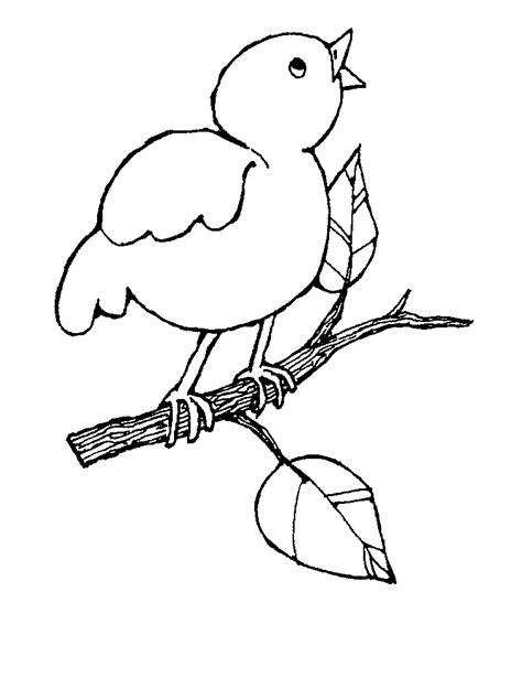 Bird Black And White Clipart   Clipart Suggest