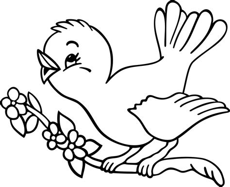 Bird Coloring Pages Clipart