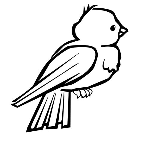 Bird Coloring Pages   Dr. Odd