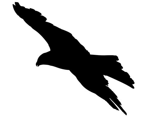 Bird Flying Silhouette Free Stock Photo   Public Domain ...