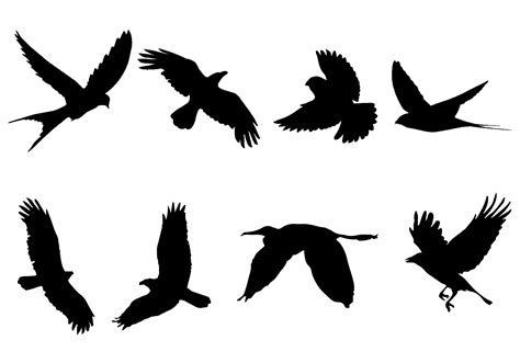 Bird Free Vector Art | 18,545 Free Downloadable Files