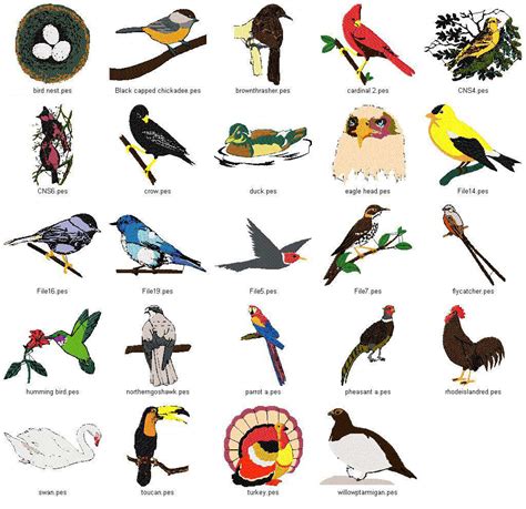 Bird Names | dobe | Pinterest | Bird and Animal