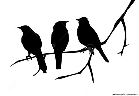 Bird On A Branch Silhouette | Wallpapers Gallery