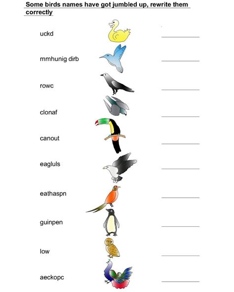 Birds names jumbled word worksheets