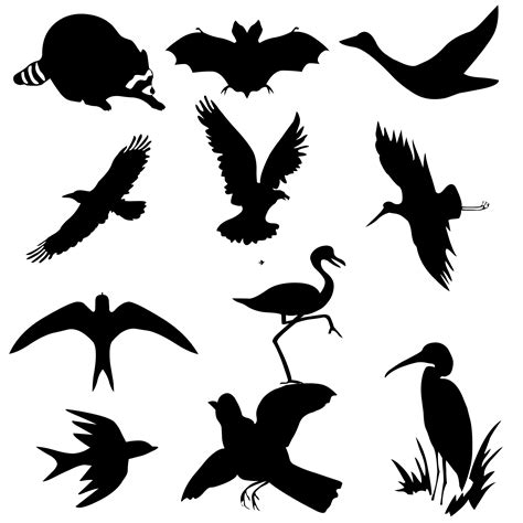 Birds Silhouettes Free Stock Photo   Public Domain Pictures
