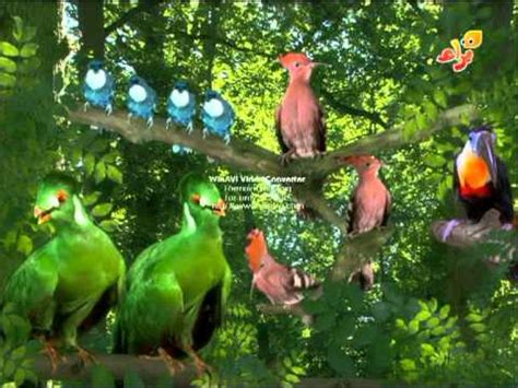 Birds singing / The Titiffers YouTube