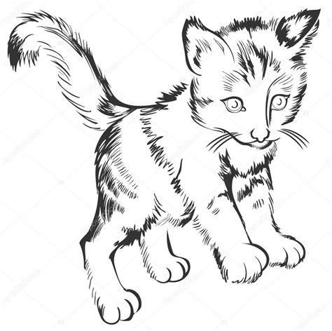 Blanco y negro dibujo de un gatito — Vector de stock ...