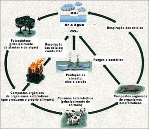 Blog Biocurioso   curiosidades e novidades !: Dezembro 2009