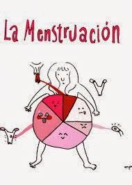 Blog de 4ª A: Cómo ocurre la menstruación
