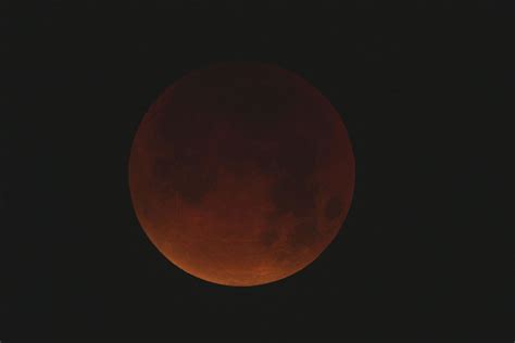 blood moon   Wiktionary