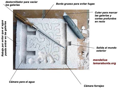 Bloque ytong – Materiales de construcción para la reparación