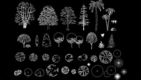 Bloques AutoCAD Gratis de árboles, arbustos, plantas, en ...