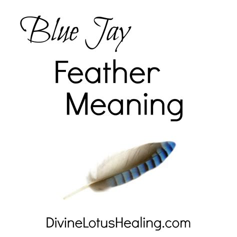 Blue Jay Feather Meaning