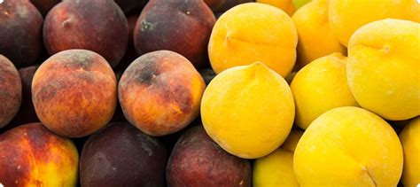 BM: Beneficios de consumir frutas con hueso