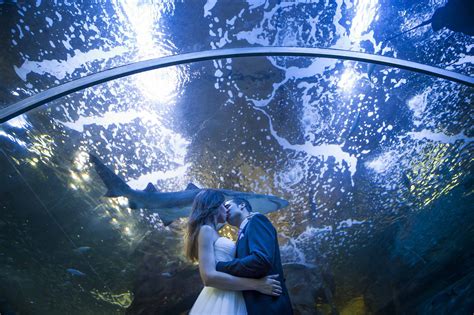 bodas aquarium donosti   Weddinc San Sebastian Weddinc San ...