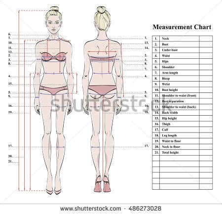 Body Measurement Stock Images, Royalty Free Images ...
