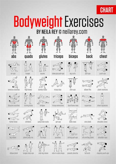 Bodyweight Exercises Chart   detailed chart with ...