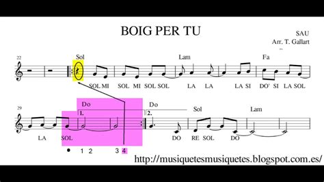 BOIG PER TU. SAU. Partitura i play along per a flauta ...