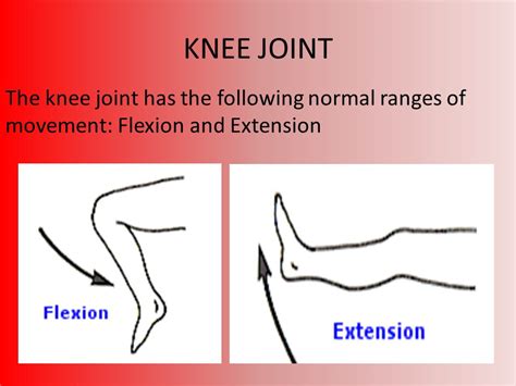 Bones, Muscles, Joints and Movement   ppt video online ...