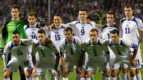 Bosnia Herzegovina: Team Preview   2014 FIFA World Cup