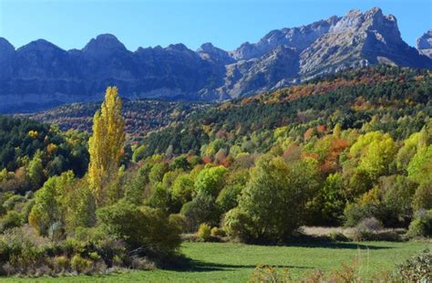 Bosque del Betato | Excursiones por Huesca