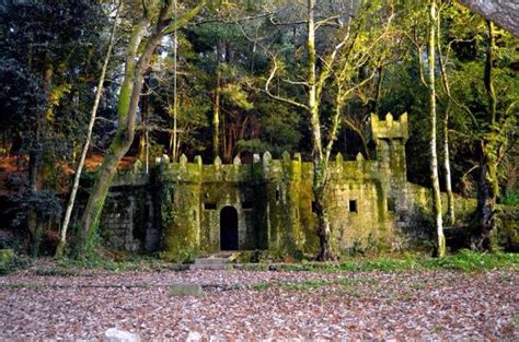 Bosque encantado, Aldán | Galicia | Pinterest