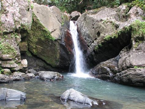 Bosque Nacional El Yunque   ZeePuertoRico.com